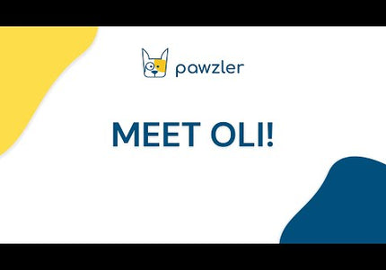 Oli's Pawzler Dog Puzzle Module – Level 1 Bonus Block, Durable Interactive Enrichment Toy