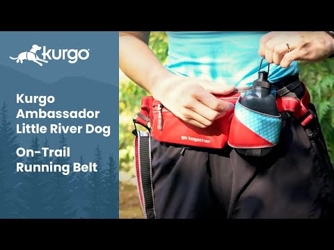 Kurgo Springback Leash 122cm – Shock-Absorbing Running Lead with Flexible Bungee Design