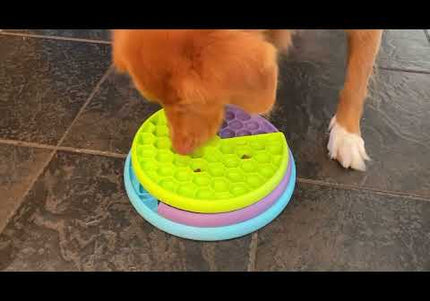 Nina Ottosson Puppy Lickin' Layers Level 2 – Interactive Slow Feeder Bowl and Puzzle Game, Educational Design