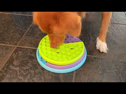 Nina Ottosson Puppy Lickin' Layers Level 2 – Interactive Slow Feeder Bowl and Puzzle Game, Educational Design