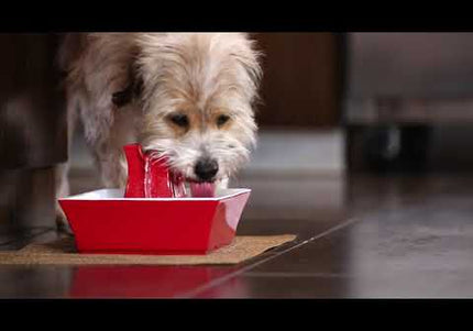 PetSafe Drinkwell Pagoda Ceramic Fountain – 2L Blue, Hygienic Water Dispenser with Quiet Pump