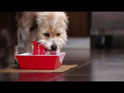 PetSafe Drinkwell Pagoda Ceramic Fountain – 2L Blue, Hygienic Water Dispenser with Quiet Pump