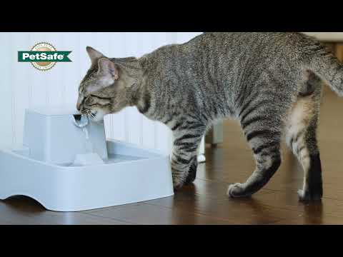 PetSafe Drinkwell Water Fountain – Medium Capacity, Quiet Flow, Easy-Clean Design