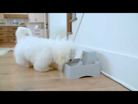 PetSafe Drinkwell Water Fountain – Medium Capacity, Quiet Flow, Easy-Clean Design