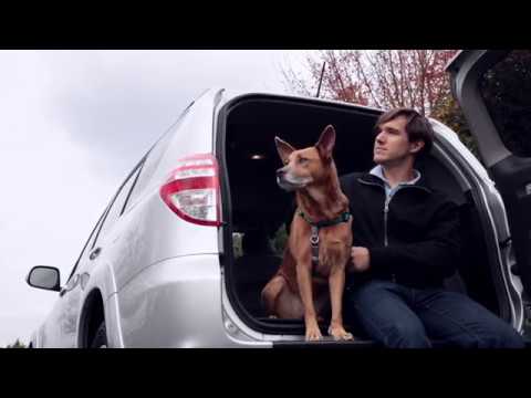 PetSafe Happy Ride Telescoping Dog Ramp – Adjustable Lightweight Design, Durable Non-Slip Surface