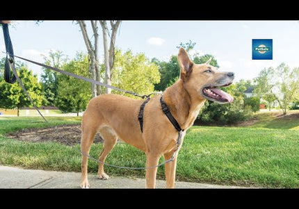 PetSafe Anti-Pull Dog Leash 116cm – Durable Nylon Lead with No-Pull Design, Comfortable Grip