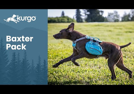 Kurgo Baxter Backpack 3.75L Blue – Adjustable Saddlebags, Lightweight and Durable Design