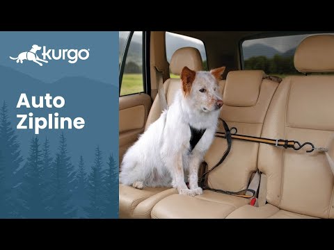 Kurgo Auto Zip Line – Adjustable Car Restraint System with Secure Harness Attachment
