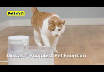 PetSafe Outlast Pumpless Pet Fountain 1.7L – Innovative Silent Water Dispenser, Easy-Clean Design