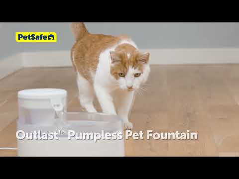 PetSafe Outlast Pumpless Pet Fountain 1.7L – Innovative Silent Water Dispenser, Easy-Clean Design