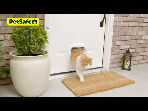 PetSafe Big Cat Flap – Large Pet Door with Secure Lock, Supports Up to 11kg