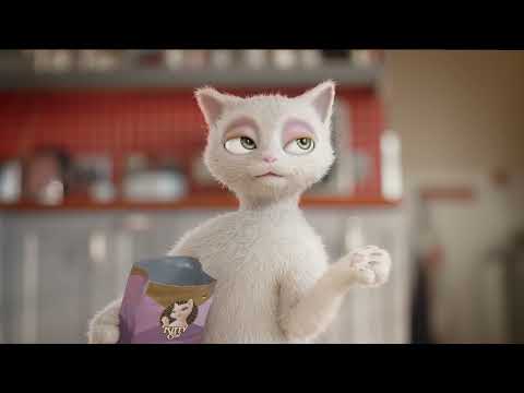 Kitty Cat Fillet in Pate Chicken and Shrimps 85g – Tender Wet Food Pouch, Protein-Rich Recipe