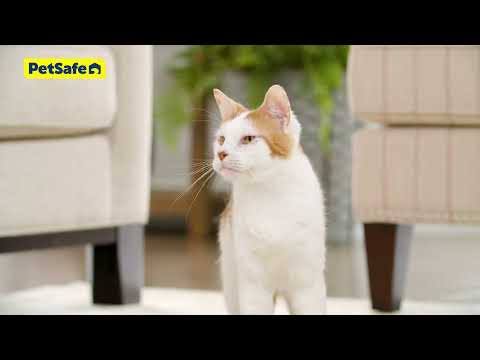 PetSafe Scoop Free Self-Cleaning Litter Box – Automatic Motion Sensor, Low-Maintenance Design