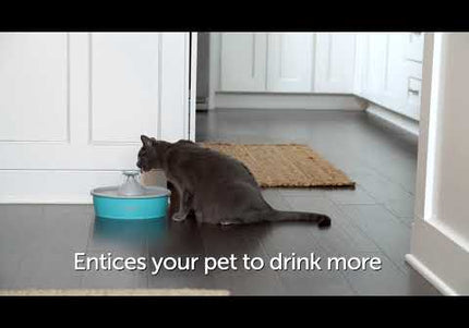 PetSafe Drinkwell Butterfly Water Fountain 1.5L – Quiet Flow Design with Decorative Top