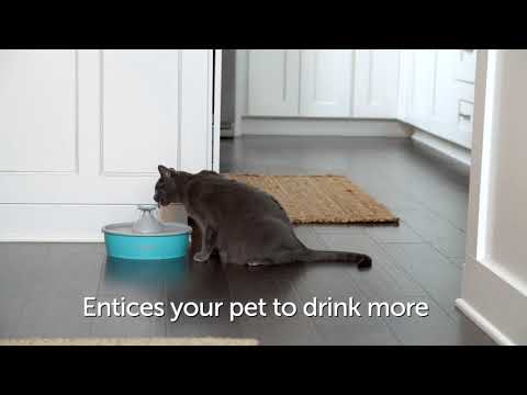 PetSafe Drinkwell Butterfly Water Fountain 1.5L – Quiet Flow Design with Decorative Top