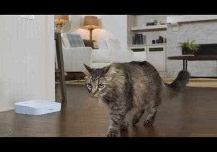 PetSafe Automatic 2 Meal Feeder – Dual-Chamber Timed Food Dispenser, Reliable Portion Control
