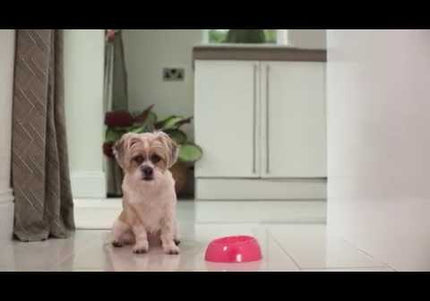 PetSafe Drinkwell Avalon Ceramic Fountain – 2L Capacity, Hygienic and Easy-to-Clean Design