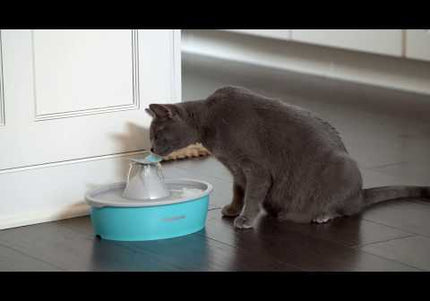 PetSafe Drinkwell Butterfly Water Fountain 1.5L – Quiet Flow Design with Decorative Top