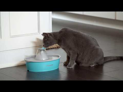 PetSafe Drinkwell Butterfly Water Fountain 1.5L – Quiet Flow Design with Decorative Top