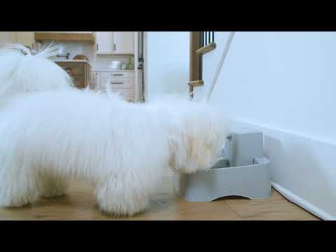 PetSafe Drinkwell Water Fountain – Medium Capacity, Quiet Flow, Easy-Clean Design