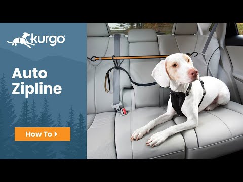Kurgo Auto Zip Line – Adjustable Car Restraint System with Secure Harness Attachment