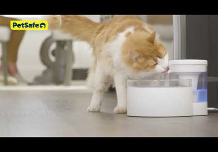 PetSafe Outlast Pumpless Pet Fountain 1.7L – Innovative Silent Water Dispenser, Easy-Clean Design