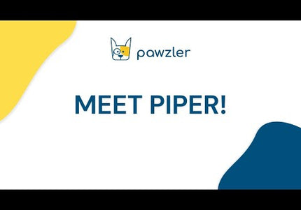 Pawzler Piper Dog Puzzle Module – Level 3 Interactive Bonus Block, Durable Design