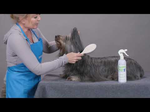 Chris Christensen Precious Drop Leave-In Conditioner 473ml – Moisturizing Smoothing 1:4 Concentrate