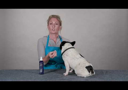 Chris Christensen Peace & Kindness Gel 236ml – Colloidal Silver with Soothing Aloe, Fast-Absorbing Formula