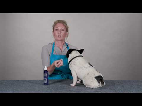 Chris Christensen Peace & Kindness Gel 236ml – Colloidal Silver with Soothing Aloe, Fast-Absorbing Formula