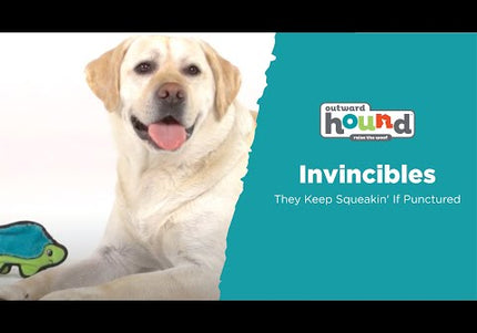 Outward Hound Durablez Snake XXL – Large Squeaky Unfilled Green Snake Dog Toy, Durable Design