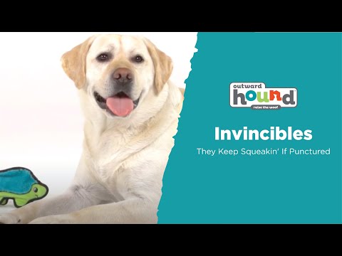 Outward Hound Durablez Snake XXL – Large Squeaky Unfilled Green Snake Dog Toy, Durable Design