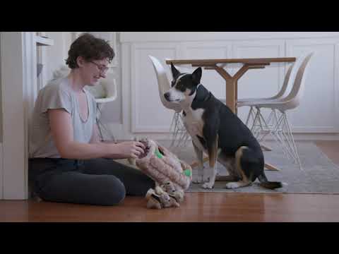 Outward Hound Hide A Raccoon Plush Puzzle Toy – Interactive Dumpster Design, Soft and Durable