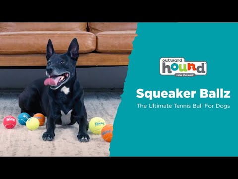 Outward Hound Squeaker Balls – Medium Tennis Ball Set, 4 Pack, Durable and Fun