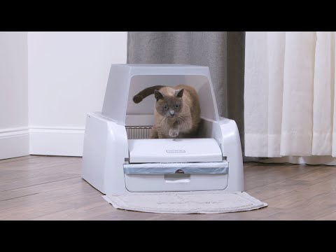 PetSafe Scoop Free Litter Box Hood – Durable Accessory for Odor Control and Privacy