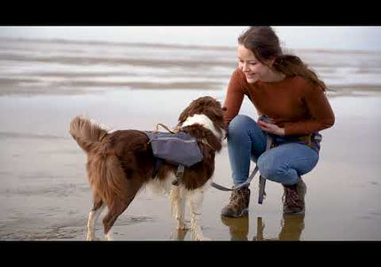 Hurtta Expedition Belt Eco – Adjustable Lightweight Running Belt with Secure Leash Attachment