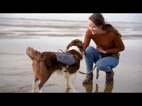 Hurtta Expedition Belt Eco – Adjustable Lightweight Running Belt with Secure Leash Attachment