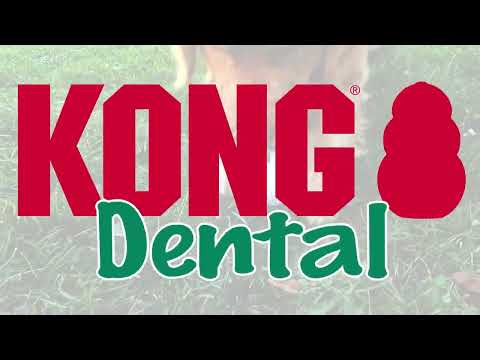 TropiClean Enticers Teeth Cleaning Gel Refills – 3x15ml Set, Effective Oral Hygiene Supplement