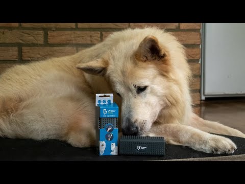 Proper Pets Hair Remover Brush – Four-Sided 12cm Rubber Tool, Versatile and Durable