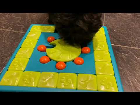 Nina Ottosson MultiPuzzle Level 4 – Interactive Educational Puzzle Game, Advanced Challenge