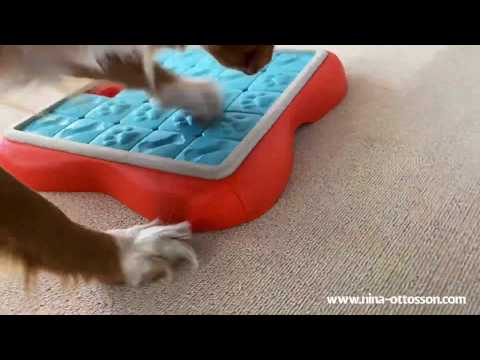 Nina Ottosson Dog Challenge Slider Level 3 – Interactive Smart Puzzle Toy, Advanced Mental Stimulation