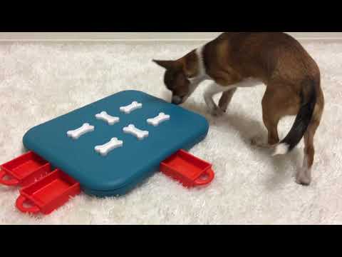 Nina Ottosson Dog Casino Level 3 Puzzle – Interactive Treat-Dispensing Game, Advanced Challenge