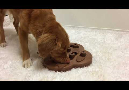 Nina Ottosson Hide N' Slide Interactive Composite Puzzle – Engaging Level 2 Dog Game