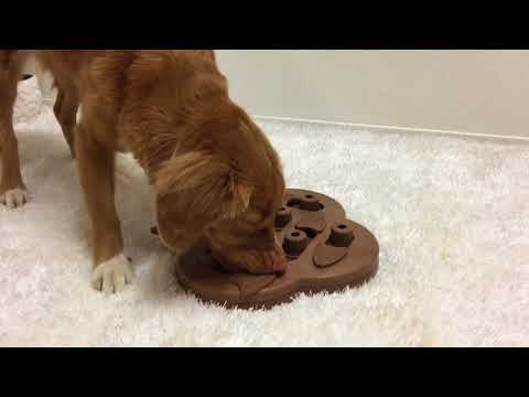 Nina Ottosson Hide N' Slide Interactive Composite Puzzle – Engaging Level 2 Dog Game