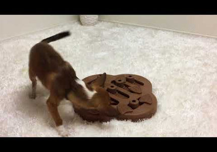 Nina Ottosson Hide N' Slide Interactive Composite Puzzle – Engaging Level 2 Dog Game