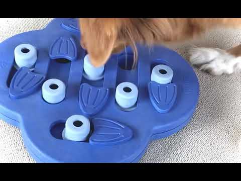 Nina Ottosson Hide N' Slide Interactive Composite Puzzle – Engaging Level 2 Dog Game