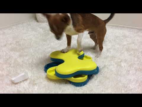 Nina Ottosson Dog Tornado Puzzle – Interactive Rotating Treat Game, Level 2 Challenge