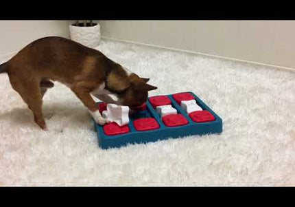 Nina Ottosson Dog Brick Puzzle Game – Interactive Level 2 Treat Dispenser, Durable Design