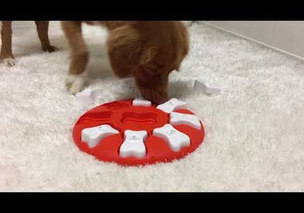 Nina Ottosson Dog Smart Level 1 Puzzle – Easy Interactive Treat-Dispensing Game, Durable Design