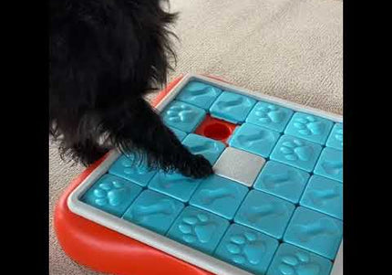 Nina Ottosson Dog Challenge Slider Level 3 – Interactive Smart Puzzle Toy, Advanced Mental Stimulation